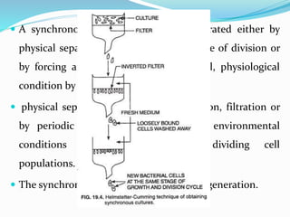 Synchronous Cell Divisions Study of bacteria | PPTX