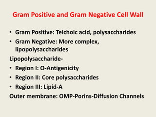 Gram Positive and Gram Negative Cell Wall
• Gram Positive: Teichoic acid, polysaccharides
• Gram Negative: More complex,
lipopolysaccharides
Lipopolysaccharide-
• Region I: O-Antigenicity
• Region II: Core polysaccharides
• Region III: Lipid-A
Outer membrane: OMP-Porins-Diffusion Channels
 
