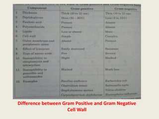 Difference between Gram Positive and Gram Negative
Cell Wall
 