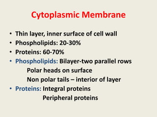 Cytoplasmic Membrane
• Thin layer, inner surface of cell wall
• Phospholipids: 20-30%
• Proteins: 60-70%
• Phospholipids: Bilayer-two parallel rows
Polar heads on surface
Non polar tails – interior of layer
• Proteins: Integral proteins
Peripheral proteins
 