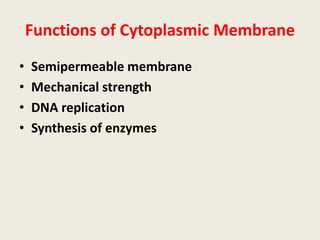Functions of Cytoplasmic Membrane
• Semipermeable membrane
• Mechanical strength
• DNA replication
• Synthesis of enzymes
 