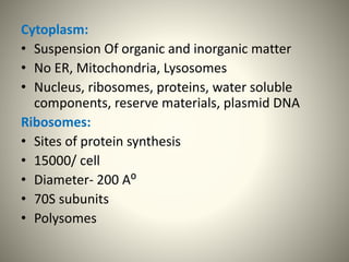Cytoplasm:
• Suspension Of organic and inorganic matter
• No ER, Mitochondria, Lysosomes
• Nucleus, ribosomes, proteins, water soluble
components, reserve materials, plasmid DNA
Ribosomes:
• Sites of protein synthesis
• 15000/ cell
• Diameter- 200 A⁰
• 70S subunits
• Polysomes
 
