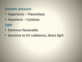 Osmotic pressure
• Hypertonic – Plasmolysis
• Hypotonic – Cytolysis
Light
• Darkness favourable
• Sensitive to UV radiations, direct light
 