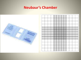 Neubaur’s Chamber
 