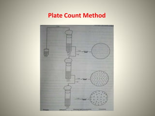 Plate Count Method
 