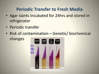 Periodic Transfer to Fresh Media
• Agar slants incubated for 24hrs and stored in
refrigerator
• Periodic transfer
• Risk of contamination – Genetic/ biochemical
changes
 
