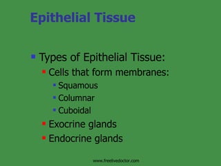 Epithelial Tissue Types of Epithelial Tissue: Cells that form membranes: Squamous Columnar Cuboidal Exocrine glands Endocrine glands www.freelivedoctor.com 