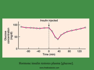 Hormone insulin restores plasma [glucose]. www.freelivedoctor.com 