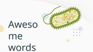 Aweso
me
words
 