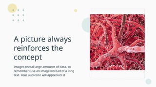 A picture always
reinforces the
concept
Images reveal large amounts of data, so
remember: use an image instead of a long
text. Your audience will appreciate it
 
