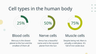 Cell types in the human body
Mercury is the closest
planet to the Sun and the
smallest of them all
Blood cells
Venus has a beautiful
name and is the second
planet from the Sun
Nerve cells
Despite being red, Mars is
actually a cold place. It’s
full of iron oxide dust
Muscle cells
50% 75%
25%
 