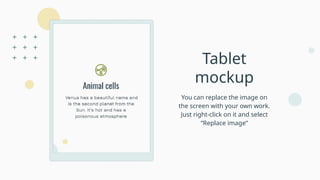 Tablet
mockup
You can replace the image on
the screen with your own work.
Just right-click on it and select
“Replace image”
 