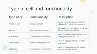 Type of cell and functionality
Type of cell Functionality Description
Red blood cells Oxygen transport
Despite being red, Mars is actually a
cold place. It’s full of iron oxide dust
Neurons Information transmission
Mercury is the closest planet to the Sun
and the smallest of them all
Muscle cells Contraction and movement
Venus has a beautiful name and is the
second planet from the Sun
Epithelial cells Protection and absorption
Saturn is a gas giant planet and has
several rings
Adipocytes Energy storage and insulation
Jupiter is a gas giant and the biggest
planet in the Solar System
 
