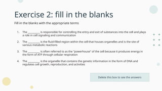 Exercise 2: fill in the blanks
Fill in the blanks with the appropriate terms
1. The __________ is responsible for controlling the entry and exit of substances into the cell and plays
a role in cell signaling and communication
2. The __________ is the fluid-filled region within the cell that houses organelles and is the site of
various metabolic reactions
3. The __________ is often referred to as the "powerhouse" of the cell because it produces energy in
the form of ATP through cellular respiration
4. The __________ is the organelle that contains the genetic information in the form of DNA and
regulates cell growth, reproduction, and activities
1. Cell membrane / 2. Cytoplasm /
3.mitochondria / 4.nucleus
Delete this box to see the answers
 