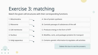 Exercise 3: matching
Match the given cell structures with their corresponding functions
1D / 2A / 3B / 4E / 5D
Delete this box to see the answers
C. Produces energy in the form of ATP
1. Mitochondria A. Site of protein synthesis
2. Ribosome
3. Cell membrane
4. Nucleus
5. Golgi apparatus
B. Controls passage of substances of the cell
E. Contains genetic information & regulates cell activities
D. Modifies, sorts, and packages proteins for transport
 