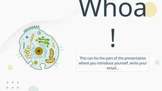 Whoa
!
This can be the part of the presentation
where you introduce yourself, write your
email…
 