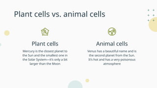 Plant cells vs. animal cells
Venus has a beautiful name and is
the second planet from the Sun.
It’s hot and has a very poisonous
atmosphere
Mercury is the closest planet to
the Sun and the smallest one in
the Solar System—it’s only a bit
larger than the Moon
Plant cells Animal cells
 