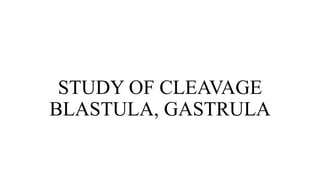 STUDY OF CLEAVAGE
BLASTULA, GASTRULA
 