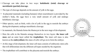 STUDY OF CLEAVAGE BLASTULA, GASTRULA.pptx