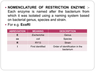  NOMENCLATURE OF RESTRICTION ENZYME :-
Each enzyme is named after the bacterium from
which it was isolated using a naming system based
on bacterial genus, species and strain.
 For e.g. EcoRI
ABREVIATION MEANING DESCRIPTION
E Escherichia Genus
co coli Species
R RY13 Strain
I First identified Order of identification in the
bacterium
 