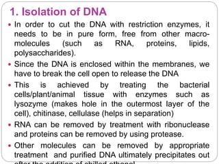 1. Isolation of DNA
 In order to cut the DNA with restriction enzymes, it
needs to be in pure form, free from other macro-
molecules (such as RNA, proteins, lipids,
polysaccharides).
 Since the DNA is enclosed within the membranes, we
have to break the cell open to release the DNA
 This is achieved by treating the bacterial
cells/plant/animal tissue with enzymes such as
lysozyme (makes hole in the outermost layer of the
cell), chitinase, cellulase (helps in separation)
 RNA can be removed by treatment with ribonuclease
and proteins can be removed by using protease.
 Other molecules can be removed by appropriate
treatment and purified DNA ultimately precipitates out
 