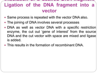 3.Isolation of a desired DNA fragment
Ligation of the DNA fragment into a
vector
 Same process is repeated with the vector DNA also.
 The joining of DNA involves several processes
 DNA as well as vector DNA with a specific restriction
enzyme, the cut out ‘gene of interest’ from the source
DNA and the cut vector with space are mixed and ligase
is added.
 This results in the formation of recombinant DNA.
 