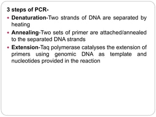 3 steps of PCR-
 Denaturation-Two strands of DNA are separated by
heating
 Annealing-Two sets of primer are attached/annealed
to the separated DNA strands
 Extension-Taq polymerase catalyses the extension of
primers using genomic DNA as template and
nucleotides provided in the reaction
 