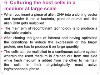 6. Culturing the host cells in a
medium at large scale
 When you insert a piece of alien DNA into a cloning vector
and transfer it into a bacteria, plant or animal cell, the
alien DNA gets multiplied.
 The main aim of recombinant technology is to produce a
desirable protein.
 After cloning the gene of interest and having optimised
the conditions to induce the expression of the target
protein, one has to produce it on large quantity.
 The cells can be multiplied in a continuous culture system
wherein the used medium is drained out from one side
while fresh medium is added from the other to maintain
the cells in their physiologically most active
log/exponential phase.
 