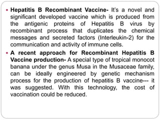  Hepatitis B Recombinant Vaccine- It’s a novel and
significant developed vaccine which is produced from
the antigenic proteins of Hepatitis B virus by
recombinant process that duplicates the chemical
messages and secreted factors (Interleukin-2) for the
communication and activity of immune cells.
 A recent approach for Recombinant Hepatitis B
Vaccine production- A special type of tropical monocot
banana under the genus Musa in the Musaceae family,
can be ideally engineered by genetic mechanism
process for the production of hepatitis B vaccine--- it
was suggested. With this technology, the cost of
vaccination could be reduced.
 