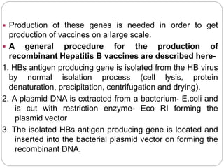  Production of these genes is needed in order to get
production of vaccines on a large scale.
 A general procedure for the production of
recombinant Hepatitis B vaccines are described here-
1. HBs antigen producing gene is isolated from the HB virus
by normal isolation process (cell lysis, protein
denaturation, precipitation, centrifugation and drying).
2. A plasmid DNA is extracted from a bacterium- E.coli and
is cut with restriction enzyme- Eco RI forming the
plasmid vector
3. The isolated HBs antigen producing gene is located and
inserted into the bacterial plasmid vector on forming the
recombinant DNA.
 
