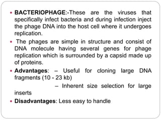  BACTERIOPHAGE:-These are the viruses that
specifically infect bacteria and during infection inject
the phage DNA into the host cell where it undergoes
replication.
 The phages are simple in structure and consist of
DNA molecule having several genes for phage
replication which is surrounded by a capsid made up
of proteins.
 Advantages: – Useful for cloning large DNA
fragments (10 - 23 kb)
– Inherent size selection for large
inserts
 Disadvantages: Less easy to handle
 