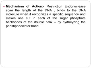  Mechanism of Action:- Restriction Endonuclease
scan the length of the DNA , binds to the DNA
molecule when it recognizes a specific sequence and
makes one cut in each of the sugar phosphate
backbones of the double helix – by hydrolyzing the
phoshphodiester bond.
 