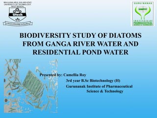 BIODIVERSITY STUDY OF DIATOMS
FROM GANGA RIVER WATER AND
RESIDENTIAL POND WATER
Presented by: Camellia Roy
3rd year B.Sc Biotechnology (H)
Gurunanak Institute of Pharmaceutical
Science & Technology
 