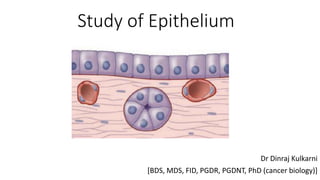 Study of Epithelium
Dr Dinraj Kulkarni
[BDS, MDS, FID, PGDR, PGDNT, PhD (cancer biology)]
 