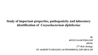 Study of important properties, pathogenicity and laboratory
identification of Corynebacterium diphtheriae
By
KEVEN LIAM WILLIAM
209701
2ND M.Sc Zoology
ST. ALBERT’S COLLEGE (AUTONOMOUS), ERNAKULAM
 