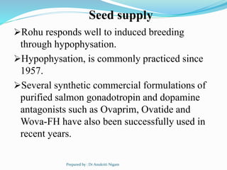 Seed supply
Rohu responds well to induced breeding
through hypophysation.
Hypophysation, is commonly practiced since
195...