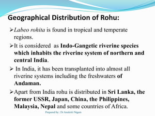 Geographical Distribution of Rohu:
Labeo rohita is found in tropical and temperate
regions.
It is considered as Indo-Gan...
