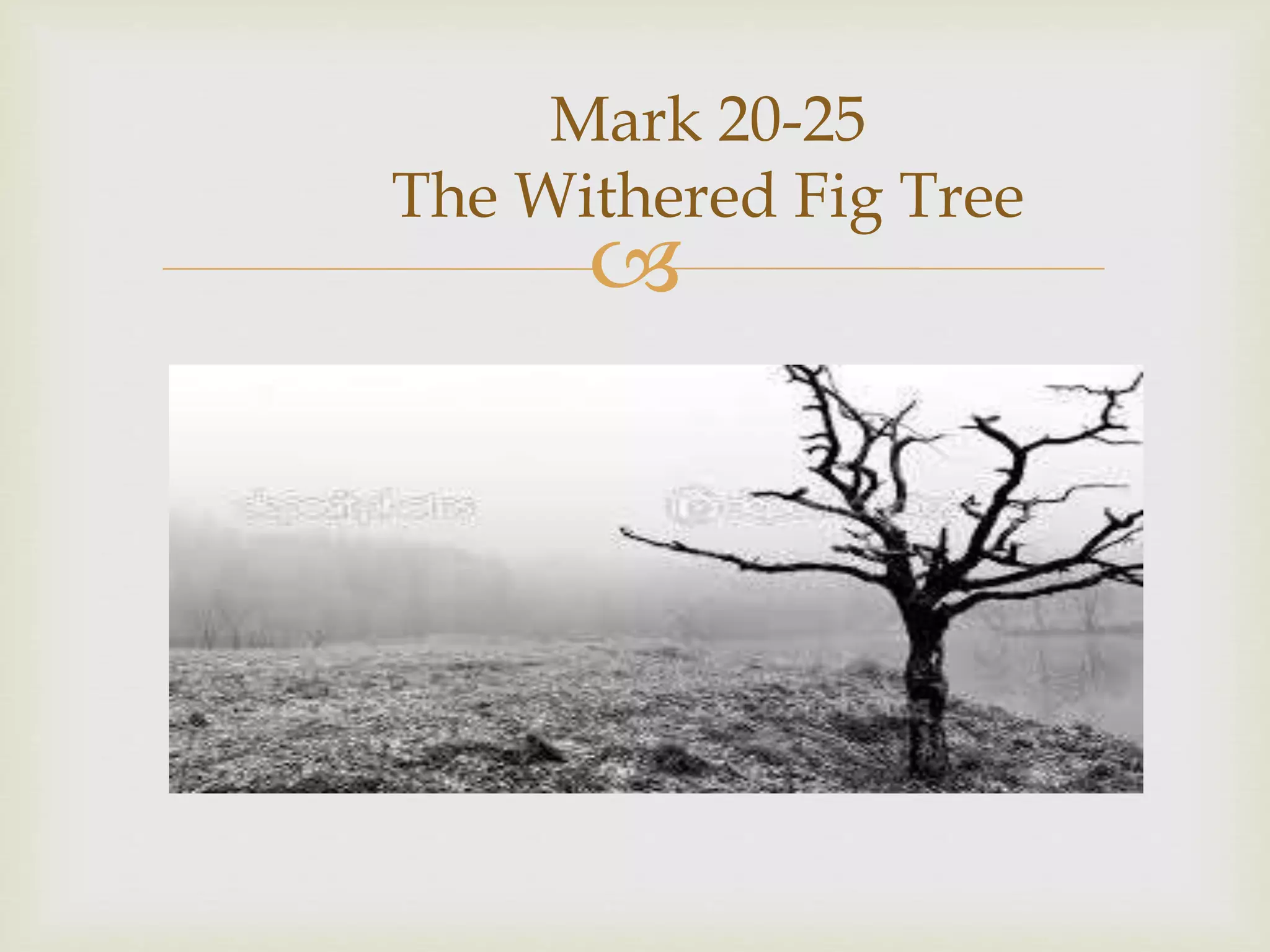 
Mark 20-25
The Withered Fig Tree
 