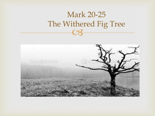 
Mark 20-25
The Withered Fig Tree
 
