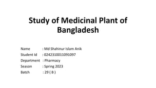 Study of Medicinal Plant of
Bangladesh
Name : Md Shahinur Islam Anik
Student Id : 0242310011091097
Department : Pharmacy
Season : Spring 2023
Batch : 29 ( B )
 