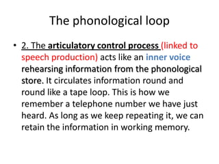 Study of memory in psychology | PPTX