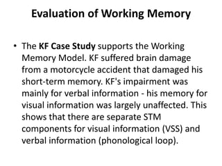 Case Study About Memory Study of memory in psychology | PPTX