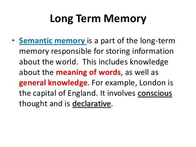 Study Of Memory In Psychology