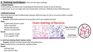 Study of Microbiological Techniques nn.pptx