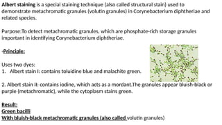 Structural Staining Study of Microbiological Techniques nn.pptx
