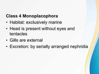 Class 4 Monoplacophora
• Habitat: exclusively marine
• Head is present without eyes and
tentacles
• Gills are external
• Excretion: by serially arranged nephridia
 