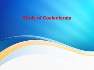 Study of Coelenterata
 