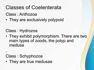 Classes of Coelenterata
Class : Anthozoa
• They are exclusively polypoid
Class : Hydrozoa
• They exhibit polymorphism. There are two
main types of zoods, the polyp and
medusa
.
Class : Schyphozoa
• They are true medusae
 