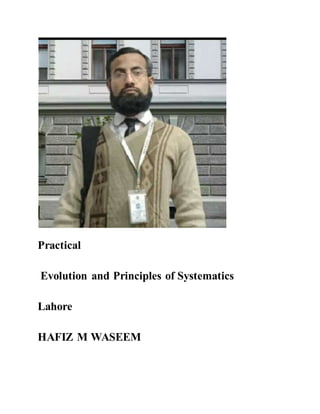 Practical
Evolution and Principles of Systematics
Lahore
HAFIZ M WASEEM
 