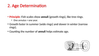 Study of Scales and Age Determination of Fishes using Scales[.pptx